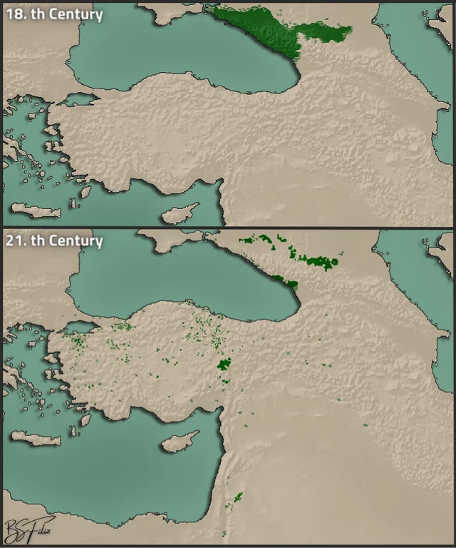 Circassian Population Distribution